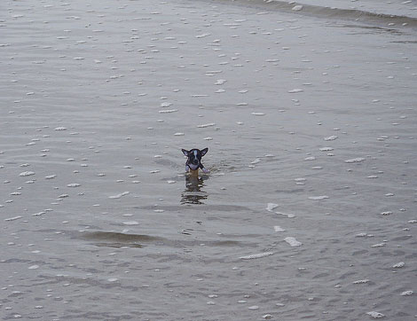 ORcoast