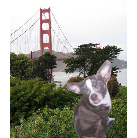 sanfran