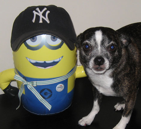 Minionphoto_blog
