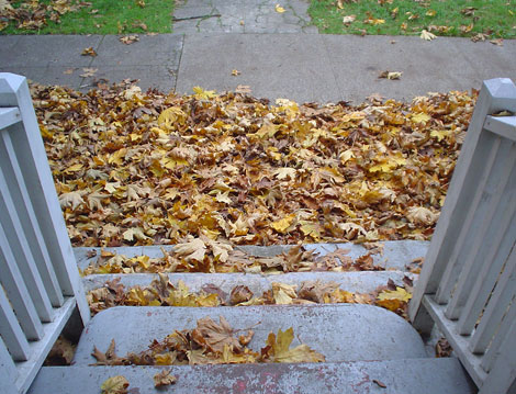 autumn